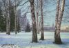 Moskau - Russland - Birken im Winter
