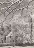 Weimar - Winter