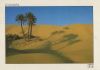 Sahara - Tunesien - Palmen
