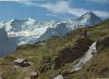 Grindelwald - Schweiz - First