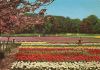 Holland - Niederlande - Blumenland