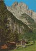 Kössen - Österreich - Kaiseradler