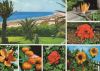Playa del Inglés - Spanien - Blumen