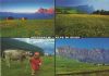 Dolomiten - Italien - Seiseralm