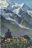 Mont Blanc - Frankreich - Ansicht