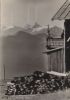 Saalbach - Österreich - Schönleitenhütte