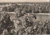 Wörlitz - Schlossmuseum und See