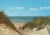 Dünen am Meer