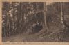 Oberhof - Der Ausgebrannte Stein