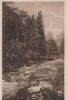 Schwarza - Partie am Fluss