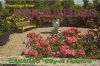 Vancouver - Kanada - City of Flower