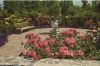 Vancouver - Kanada - Floral Terrace