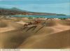 Maspalomas - Spanien - Kamele und Dünen