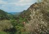 Gran Canaria - Spanien - Valle de Agaete
