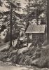 Oberwiesenthal - Eckbauerhütte am Fichtelberg