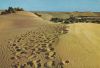 Maspalomas - Spanien - Dunas