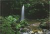 Emerald Pool - Dominikanische Republik - Wasserfall