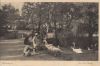 Rotterdam - Niederlande - In het Park