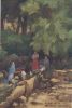 Mexiko - Mexiko - Washing Playe in a village