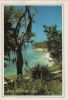 Samana - Dominikanische Republik - Cayo Levantado