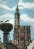 Strasbourg - Frankreich - Souvenir