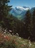 Davos - Schweiz - Jakobshorn