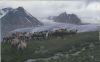 Altai - Monaco - Kamele