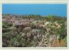 Puntagorda - Spanien - Vista parcial
