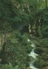 Hägendorf - Schweiz - Teufelsschlucht