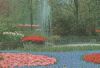 Niederlande - Keuknhof - Lisse-Holland - ca. 1975