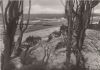 Ahrenshoop - Strand bei Rehbergen - 1985