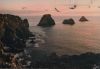 Frankreich - Camaret-sur-Mer - Les Tas de Pois - 1971