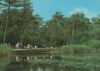 Cuxhaven - Sahlenburg, Fibkenmoorteich - 1989