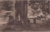 Großbritannien - Warwick - The Lovers Seat - ca. 1950