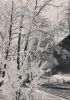 Fröhliche Weihnachten u. gutes neues Jahr - 1967