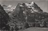 Schweiz - Grindelwald - Eiger, Flescherwand - ca. 1960