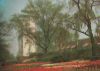 Essen Grugapark - Blumenanger - 1969