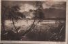 Bad Wildbad - Der Wildsee - 1930