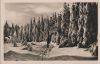 Rennsteig - Winter im Thüringer Wald