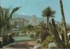 Spanien - Puerto de la Cruz - Plantas tipicas - 1980