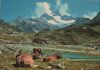 Schweiz - Sustenpass - Stucklistock - ca. 1975