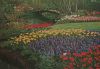 Niederlande - Lisse - Keukenhof - ca. 1985