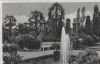 Bad Pyrmont - Palmengarten - 1956
