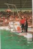 Harderwijk - Niederlande - Dolfinarium