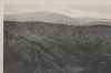 Braunlage - Hohegeiss - Wolfsbachtal v. Lampertsberg - ca. 1955